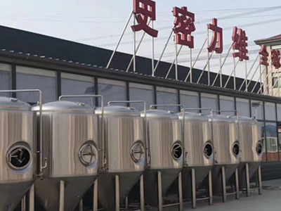 鲁甸精酿啤酒设备厂—市场规模与跨界新需求